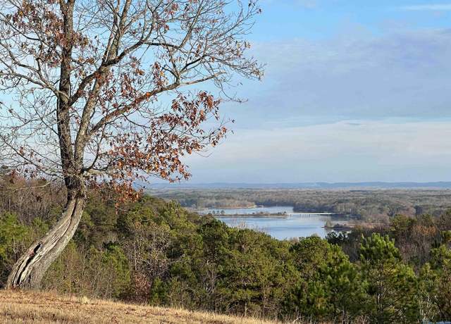 Property at LOT 56 County Road 767, Cedar Bluff, AL 35959