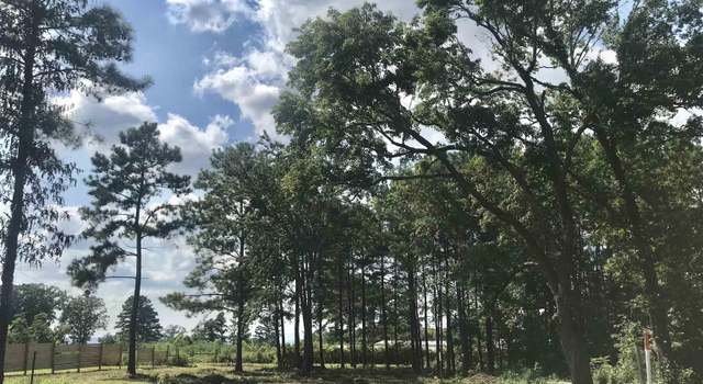 Photo of 101 Ryan St, Section, AL 35771