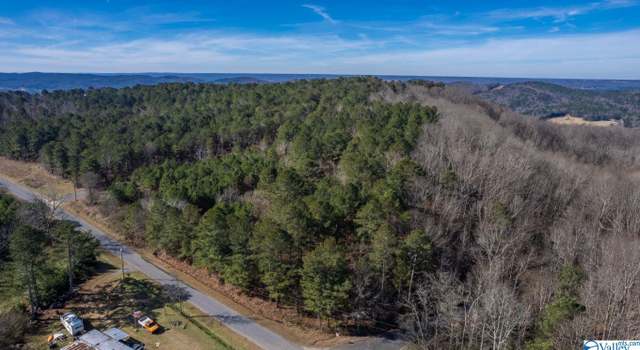 Photo of 1513 County Road 822, Collinsville, AL 35961