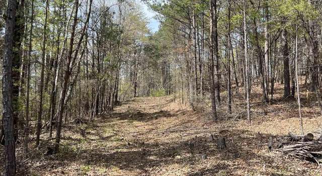 Photo of 01 York Mountain Rd, Empire, AL 35063
