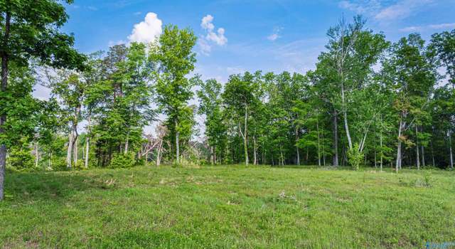 Photo of 12 ACRES County Road 665, Pisgah, AL 35765
