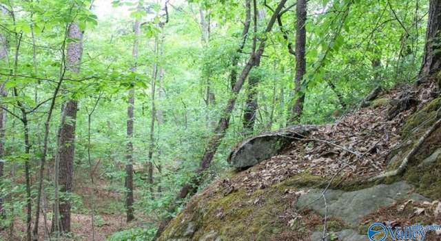 Photo of Lot 11 Bear Creek Trl, Fort Payne, AL 35957