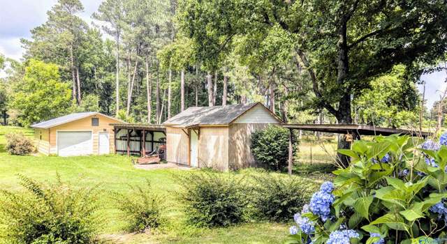 Photo of 2476 County Road 76, Fyffe, AL 35971