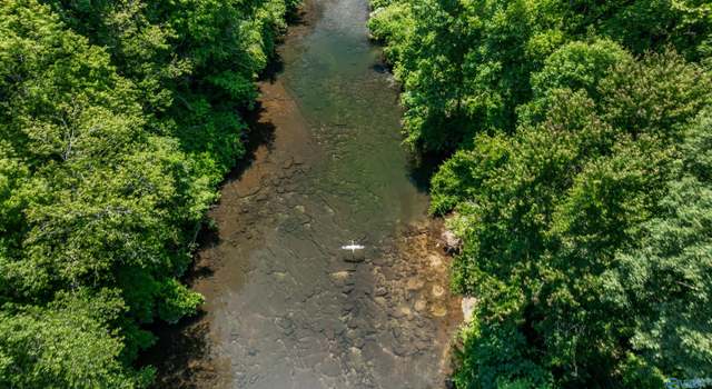 Photo of 23ACRES County Road 633, Mentone, AL 35984