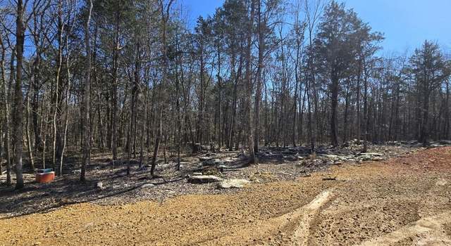 Photo of 162 Parnell Cir, Woodville, AL 35776