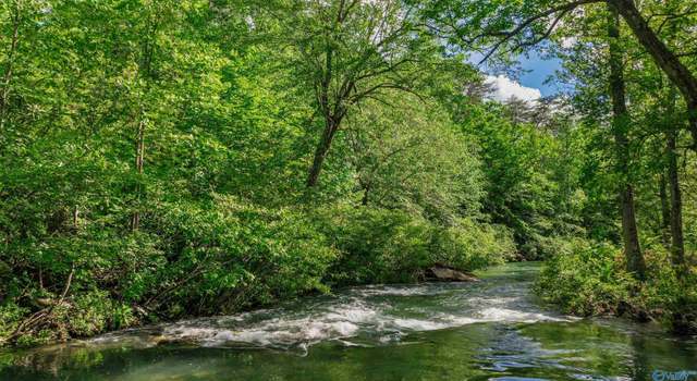 Photo of 1224 Alabama Highway 117, Mentone, AL 35984