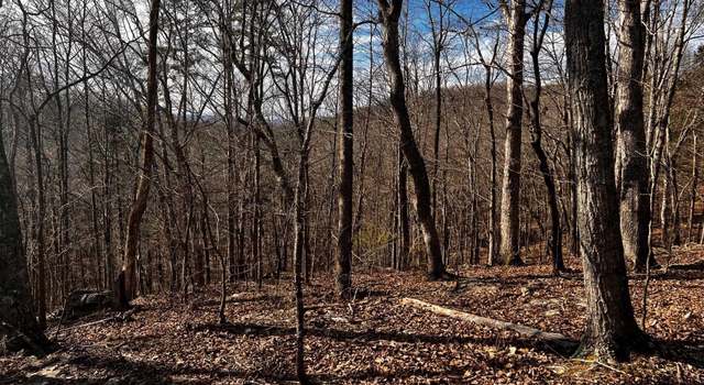Photo of 11.5 acres Holcomb Ridge Rd, Grant, AL 35776
