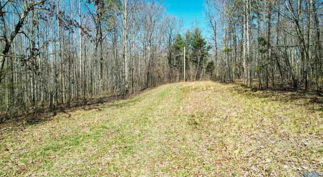 Photo of 40 acres County Road 492, Henagar, AL 35978