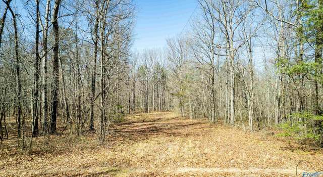 Photo of 40 acres County Road 492, Henagar, AL 35978