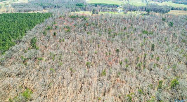 Photo of 40 acres County Road 492, Henagar, AL 35978