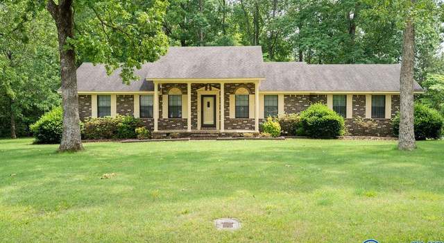 Photo of 125 Harrison St, Rainsville, AL 35967