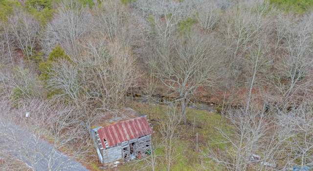 Photo of 8 Acres County Road 323, Ider, AL 35981