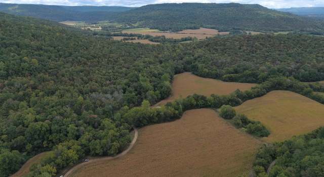 Photo of County Road 104 S County Road 104, Stevenson, AL 35772