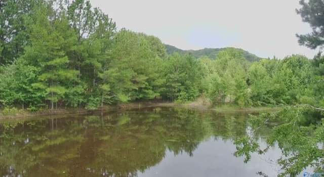 Photo of 4040 County Road 131, Piedmont, AL 36272
