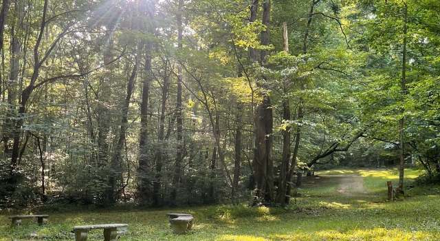 Photo of 577 Rock Ridge Rd, Valley Head, AL 35989