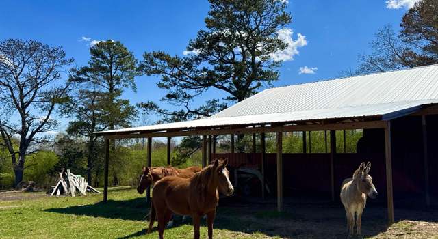 Photo of 77 +/- Nixon Chapel Rd, Horton, AL 35980