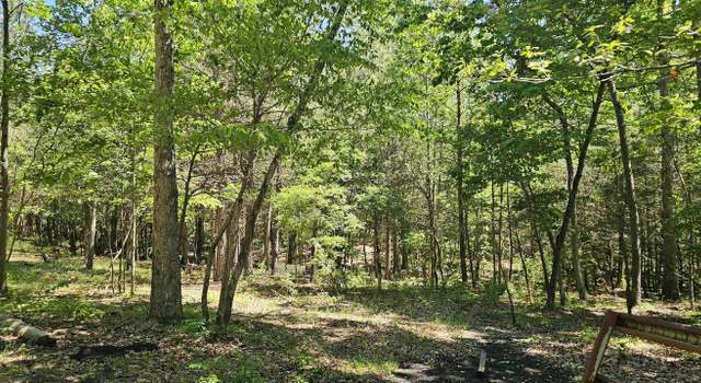 Photo of 21+/- Acres County Road 361, Pisgah, AL 35765