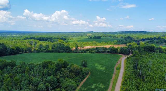 Photo of 471 Tanyard Rd, Altoona, AL 35952