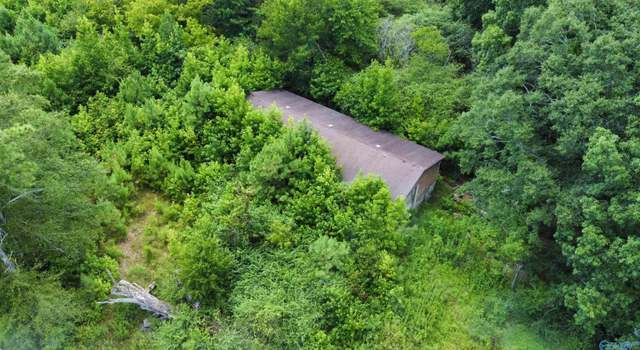 Photo of 471 Tanyard Rd, Altoona, AL 35952