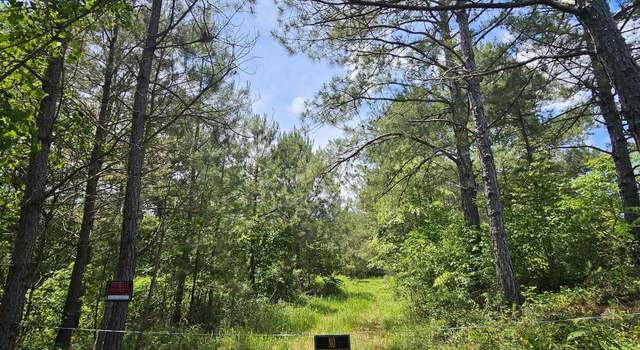 Photo of Lot 3 County Road 40, Fruithurst, AL 36262