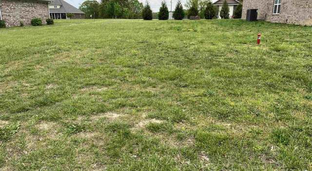 Photo of Lot 11 Village Ln, Sardis City, AL 35956