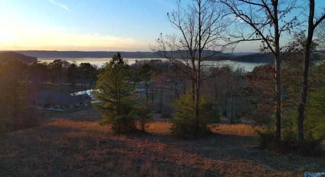 Photo of 39 Acres County Road 67, Section, AL 35771