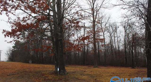 Photo of 37835 Hwy 75, Fyffe, AL 35971