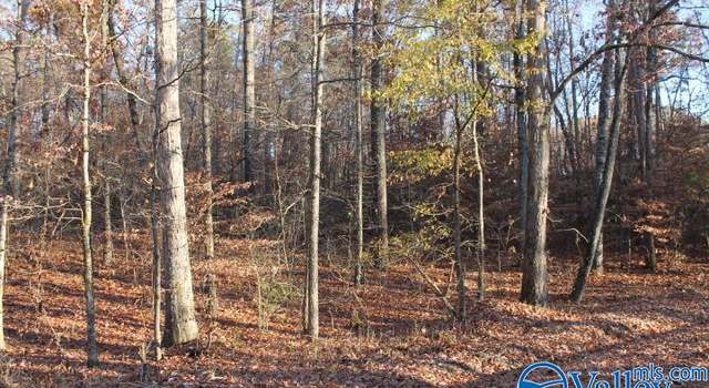 Photo of Lot 11 County Road 596, Fort Payne, AL 35986