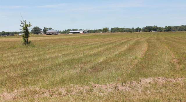 Photo of Tract 5 W Highway 55 W, Falkville, AL 35622