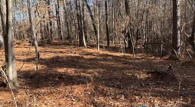 Photo of Lot 33 Odonnell Rd, Ashville, AL 35953