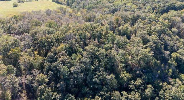 Photo of Lot 3 County Road 224, Dutton, AL 35744