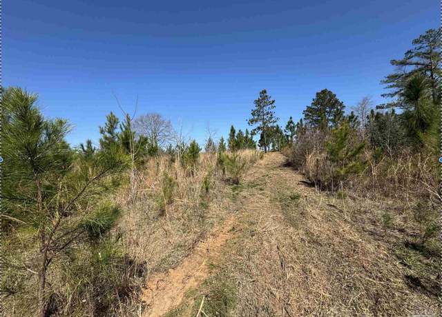 Property at Lot 5 Will Jones Rd, Jay, FL 32565