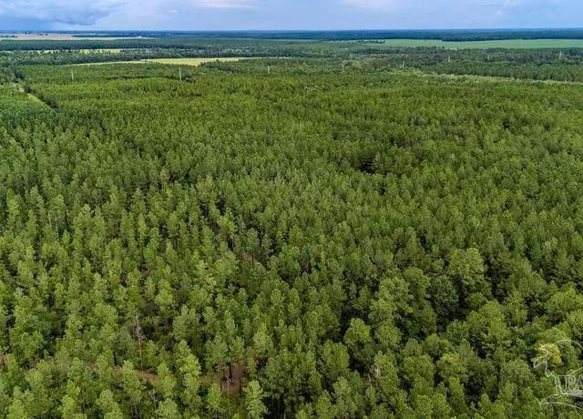 Property at 19.58 Sage Forest Ln, Pace, FL 32571