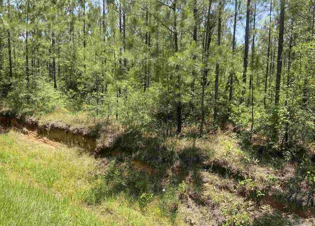 Property at Lot 2- 23799 Lonnie Hadley Rd, Perdido, AL 36562