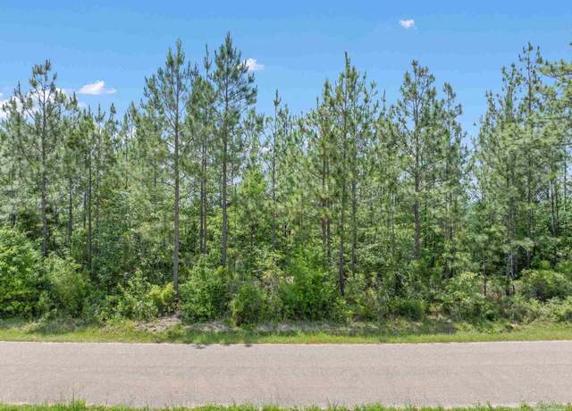 Property at Lot 52 Mineral Springs Rd, Jay, FL 32565