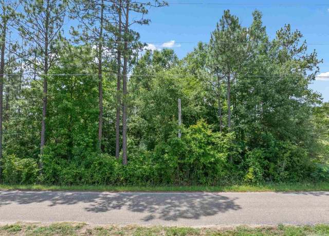 Property at Lot 53 Mineral Springs Rd, Jay, FL 32565