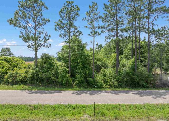 Property at Lot 54 Mineral Springs Rd, Jay, FL 32565