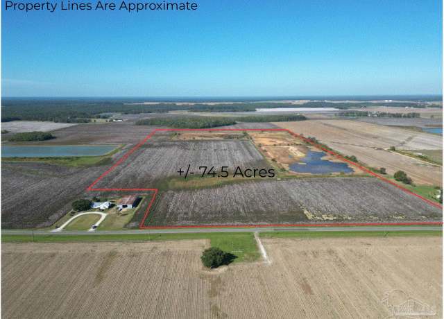 Property at 00 Hwy 99, Walnut Hill, FL 32568