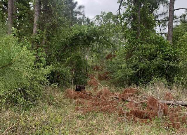 Property at o Woodpecker Ln, Holt, FL 32564