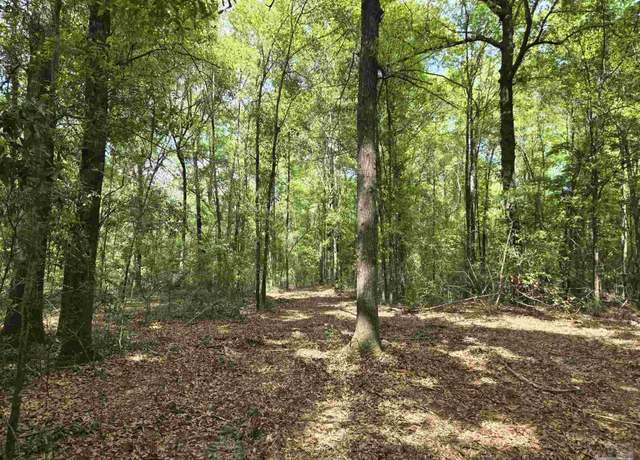 Property at 1131 Wolf Log Rd, Flomaton, AL 36441
