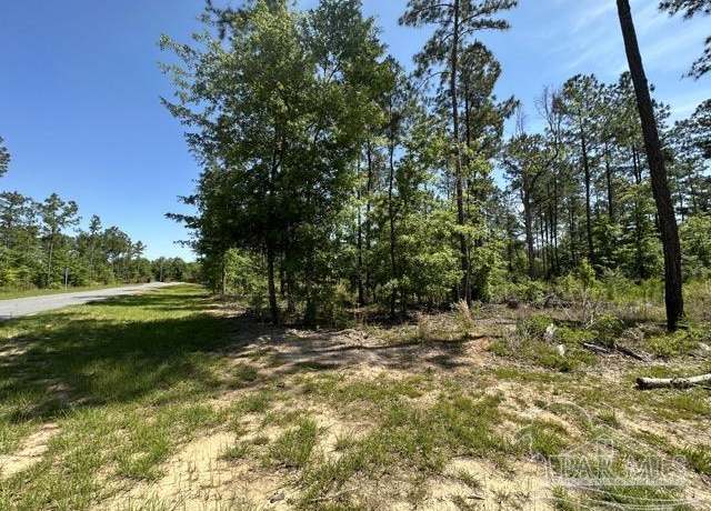 Property at 18 Steele Meadow Dr, Pace, FL 32571