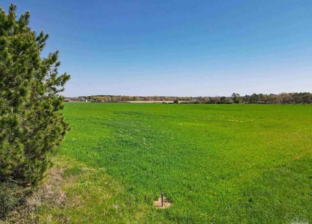 Property at 5872 S State Hwy 99, Mcdavid, FL 32568