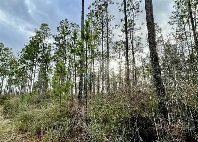 Property at 3700 Block Hwy 168, Century, FL 32535
