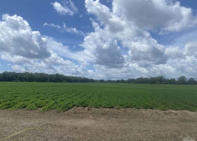 Property at 3600 Oakshade Rd, Century, FL 32535