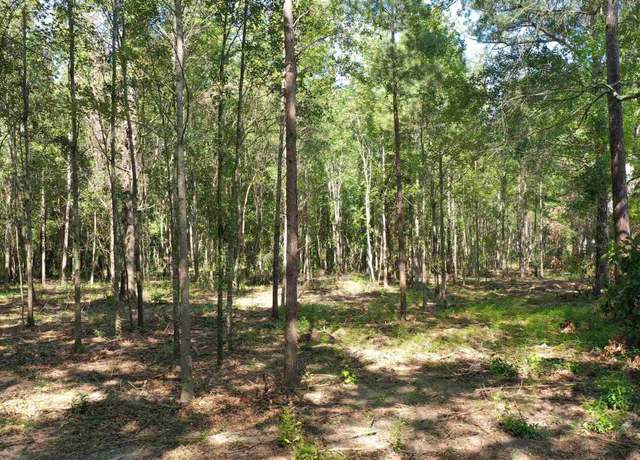 Property at Lot 1A Harris St, Atmore, AL 36502