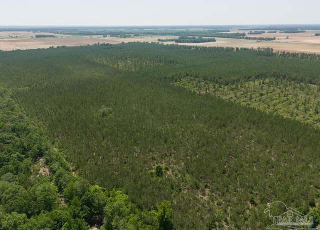 Property at 12 Bud Diamond Rd, Jay, FL 32565