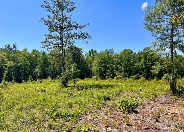 Property at Lot 2-C Cotton Lake Rd, Molino, FL 32577