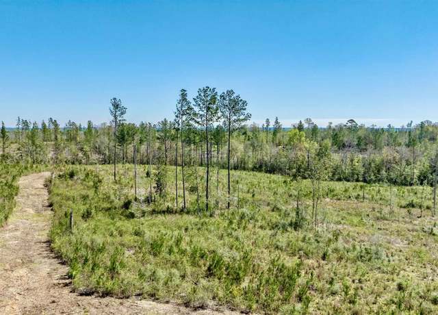 Property at Lot 3-C Cotton Lake Rd, Molino, FL 32577