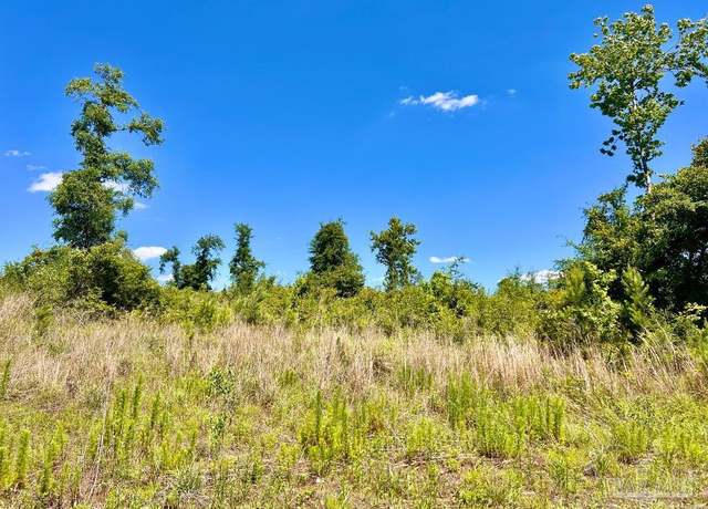 Property at Lot 7-C Cotton Lake Rd, Molino, FL 32577