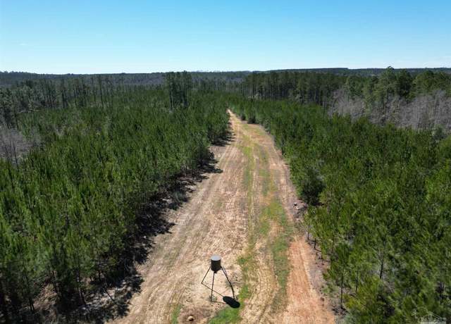 Property at 06 Robinsonville Rd, Atmore, AL 36502